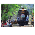 【鐵道新世界購物網】台灣鐵道之美明信片 24 集集線‧蒸機領航