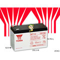 ☼ 苙翔NP電池 ►臺灣湯淺 密閉式電池 YUASA NP7-12 (紅標) UPS電池 兒童玩具車電池 12V7AH