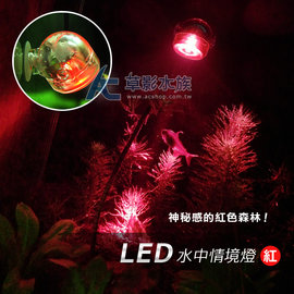 【AC草影】LED情境水中燈（1W/紅色）【一個】