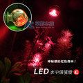 【 ac 草影】 led 情境水中燈 1 w 紅色 【一個】