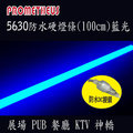 LED 5630 防水硬燈條 450nm 藍光 72株 (100cm) 12V 植物燈 KTV 酒吧 餐廳 汽車旅館 氣氛燈