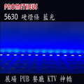 LED 5630 硬燈條 450nm 藍光 36株 (50cm) 12V 植物燈 KTV 酒吧 餐廳 汽車旅館 氣氛燈