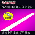 LED 5630 防水硬燈條 魔幻紫紅 36株 (50cm) 12V 植物燈 KTV 酒吧 餐廳 汽車旅館 氣氛燈
