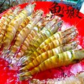 魚仔殿-澎湖大明蝦