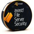 Avast File Server Security(檔案伺服器防護)(1台1年版)