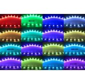 《晶站》新款 一對二 5050 SMD 7彩變色燈條 七彩遙控器 RGB燈條控制器 爆閃燈條 快閃 慢閃 七彩自動變色 速度調整
