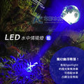 【 ac 草影】 led 情境水中燈 1 w 藍色 【一支】