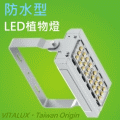 VITALUX防水型LED植物燈(A1光譜),台灣製(全光譜植物生長燈) **最新款量子板仿太陽光園藝多肉雨林觀葉塊根塊莖植物補光燈