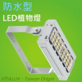 VITALUX防水型LED植物燈(B5光譜),台灣製(全光譜暖光植物生長燈) **最新款量子板仿太陽光園藝多肉雨林觀葉塊根塊莖植物補光燈