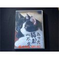 [DVD] - 為什麼貓都叫不來 Neko Nanka Yondemo Konai ( 台灣正版 )
