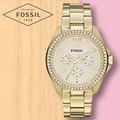 FOSSIL 手錶 專賣店 AM4482 女錶 石英錶 不鏽鋼錶帶 防水 防刮礦物 全新品 保固一年 開發票