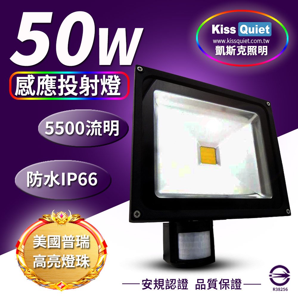《Kiss Quiet》 質感黑(白光/黃光) 50W LED感應投射燈,全電壓高PF-1入