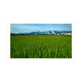 SD,HD,2K,4K,影片素材:10520 P02Mrl-12 綠映&amp;龍德工業區Longde Industrial Zone