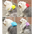 PPARK 寵物背包‧狗狗自己背‧2種尺寸6種顏色可選