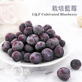 [莓果工坊]鮮凍栽培藍莓 美國/加拿大