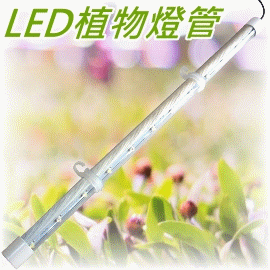 掛勾型4尺(4呎)㊣VITALUX LED植物燈管(吊掛式,可調角度)｜紅:白=2:1｜*多肉 食蟲 植物栽培燈