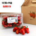 頂級玉女小番茄(1斤裝x150小盒)團購組
