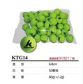 宏海體育 網球 KAWASAKI KTG14 練習級無壓網球 (1個25元)