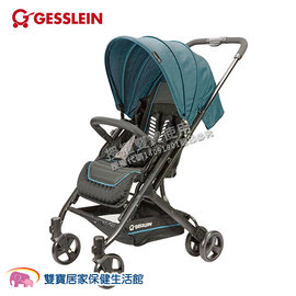 Gesslein cheap s8 buggy