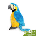缺《寵物鳥世界》 金剛鸚鵡娃娃(藍) /絨毛玩偶/布偶/鳥娃娃 KW018