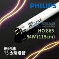 【AC草影】PHILIPS 飛利浦 T5 太陽燈管 HO 865（54W）【一支】