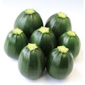【蔬菜種子】綠球夏南瓜~ 果實綠色，圓球形有光澤，連續著果性強，食用風味絕佳。