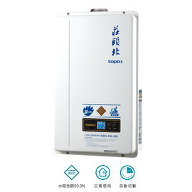 《日成》莊頭北13L數位恆溫強制排氣型熱水器(TH-7139FE) 零件五年保固