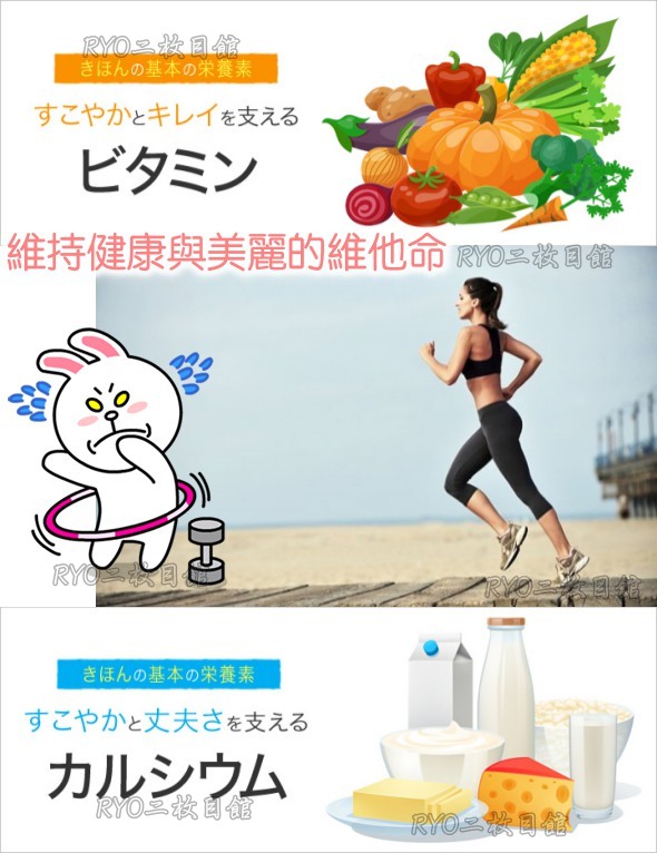DHC維他命B群 評價 日本保健NO.1 推薦 境內版 天然‧安心‧自在 通信販賣 基礎營養 綜合 維他命 維持皮膚健康