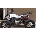 INPHIC-頂級12吋鋁輪雙排氣125cc越野車 沙灘車 四輪摩托車 機車