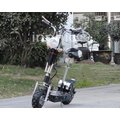 INPHIC-都市精靈車14A36V電動滑板車電動自行車大沖浪華東款迷你電動車