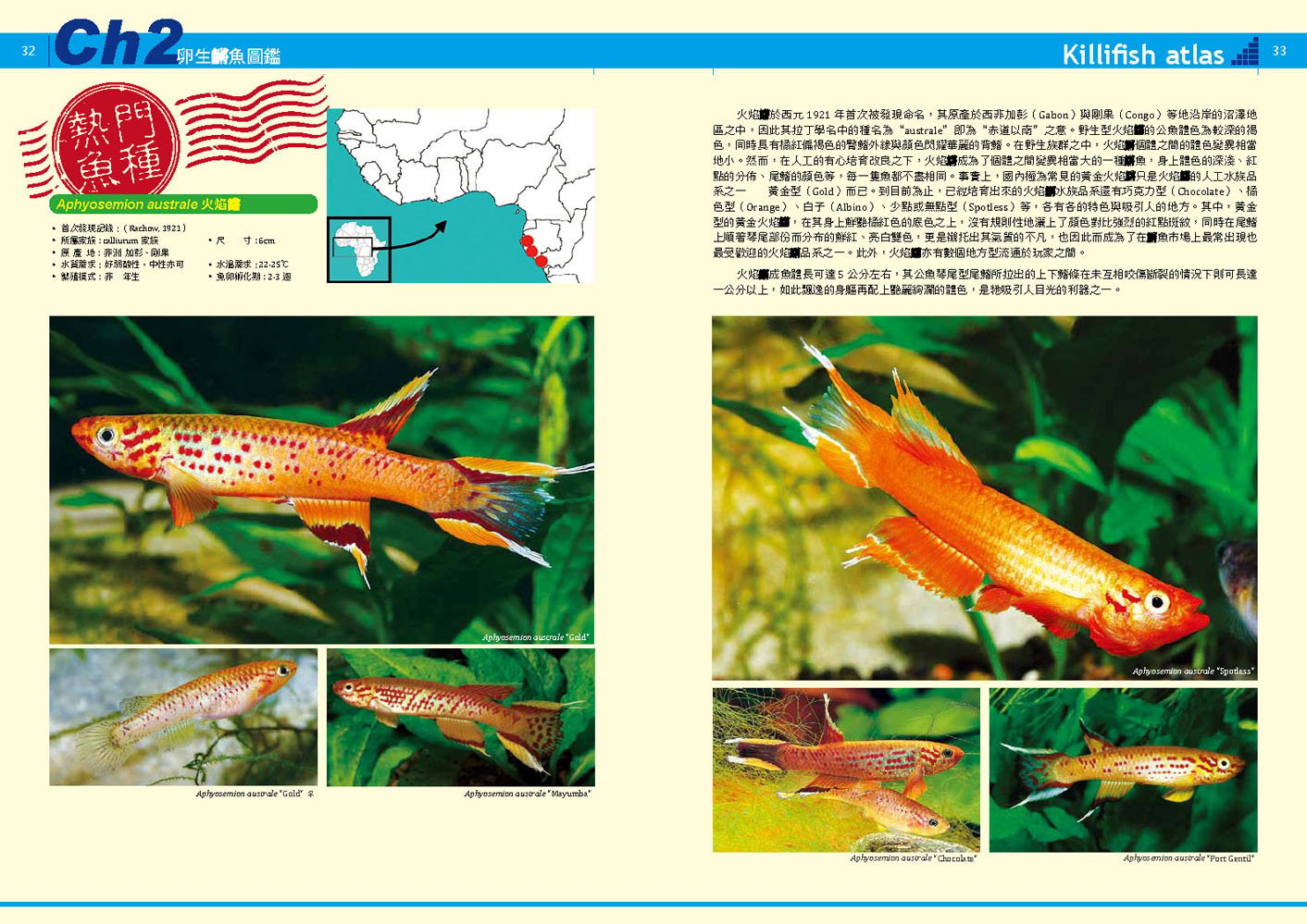 Ac草影 卵生將魚的飼育與賞析 精裝版 一本 Pchome商店街 台灣no 1 網路開店平台