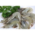 【冷凍蝦蟹類】活凍白蝦(50/60) /約850g / 盒 ~殼薄新鮮~肉嫩味美~鮮甜便宜又好吃~