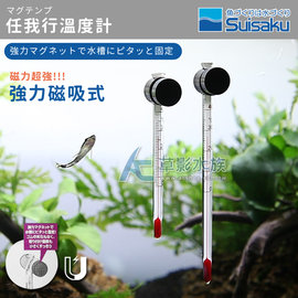 【AC草影】Suisaku 水作 任我行溫度計（M）【一支】磁鐵溫度計