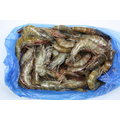 【冷凍蝦蟹類】 活凍白蝦(30/40) /約 600g /盒~殼薄新鮮~肉嫩味美~鮮甜便宜又好吃~