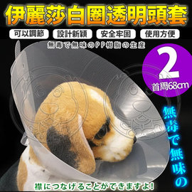 【🐱🐶培菓寵物48H出貨🐰🐹】dyy》伊麗莎白圈透明頭套2號68cm(蝦)