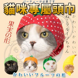 dyy》日版現貨 貓咪專屬頭巾 水果造型帽子 貓用頭套扭蛋28-29cm
