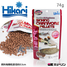 【AC草影】Hikari 高夠力 底棲肉食魚專用營養飼料（75g）【一包】