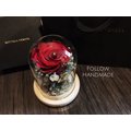 『Follow 花若手作』特價大永生紅玫瑰玻璃罩盅 乾燥花束 桌花 花材 盆器 手作 甜點 永生花 情人節禮物