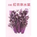【日本進口蔬菜種子】紅衣京水菜~~500顆種子。莖及葉都是紅色，富含鐵質，對女性身體極有助益！