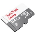 SanDisk Ultra Micro SDXC 64G / Class10 / 100M/s / 無轉接卡(6114.QNR64.322)