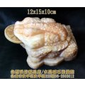 黃玉招財蟾蜍~15cm