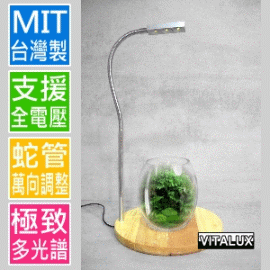 桌上植物燈 檯燈型 Vitastar Led照明 Pchome商店街 台灣no 1 網路開店平台