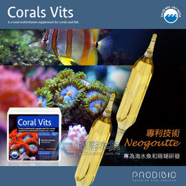 【AC草影】法國 BIO Coral Vits 活性珊瑚維他命（盒裝/30支）【一盒】
