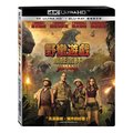 合友唱片 野蠻遊戲 瘋狂叢林 4K UHD 雙碟限定版 Jumanji: Welcome to the Jungle UHD+BD