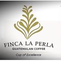 瓜地馬拉El Quiche產區Finca La Peria珍珠佩菈莊園水洗中深焙濾泡式掛耳咖啡包（5包）The CURVE Coffee