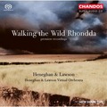 CHAN10051 (絕版)海尼根與勞森《漫步羅恩達荒野》 Heneghan &amp; Lawson:Walking The Wild Rhond (Chandos)