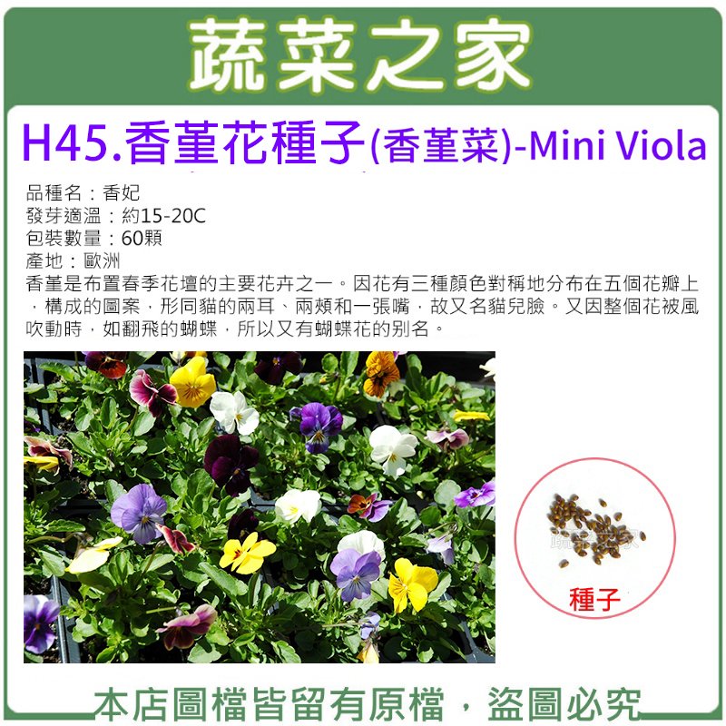 【蔬菜之家】蔬菜花草種子、園藝資材專賣 - 【蔬菜之家】H45.香堇花種子60顆