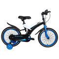 寶貝樂精選 16 吋寶馬腳踏車打氣胎童車 藍 btsx 1604 b