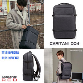 samsonite caritani backpack