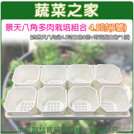 【蔬菜之家005-D132-】景天八角多肉栽培組合4.5吋(5號)(含景天八角盆4.5吋白色8個+育苗盤白色*1個)園藝 園藝用品 園藝資材 園藝工具